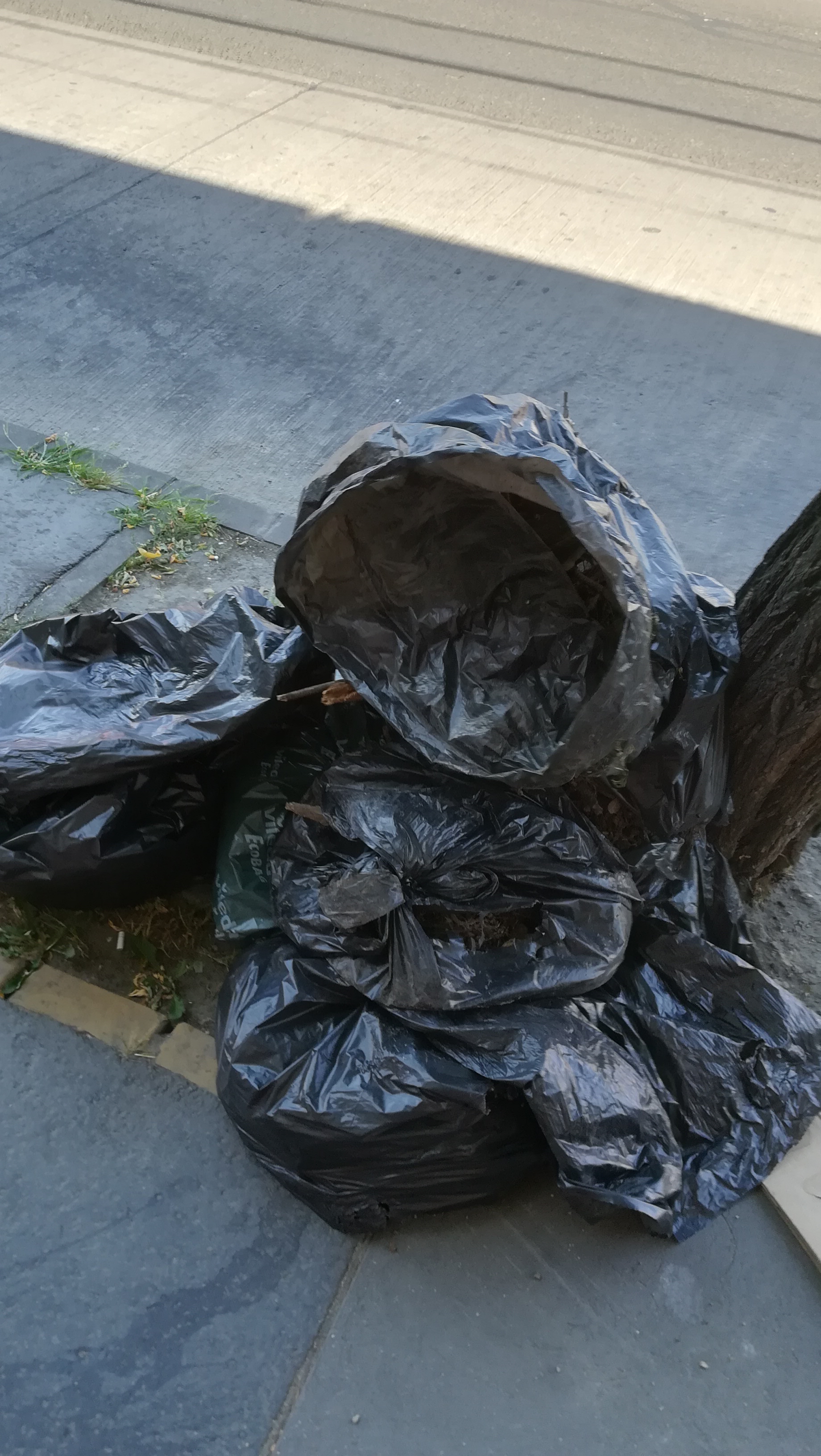 illegális hulladék lerakás, amit a kutyát se érdekli