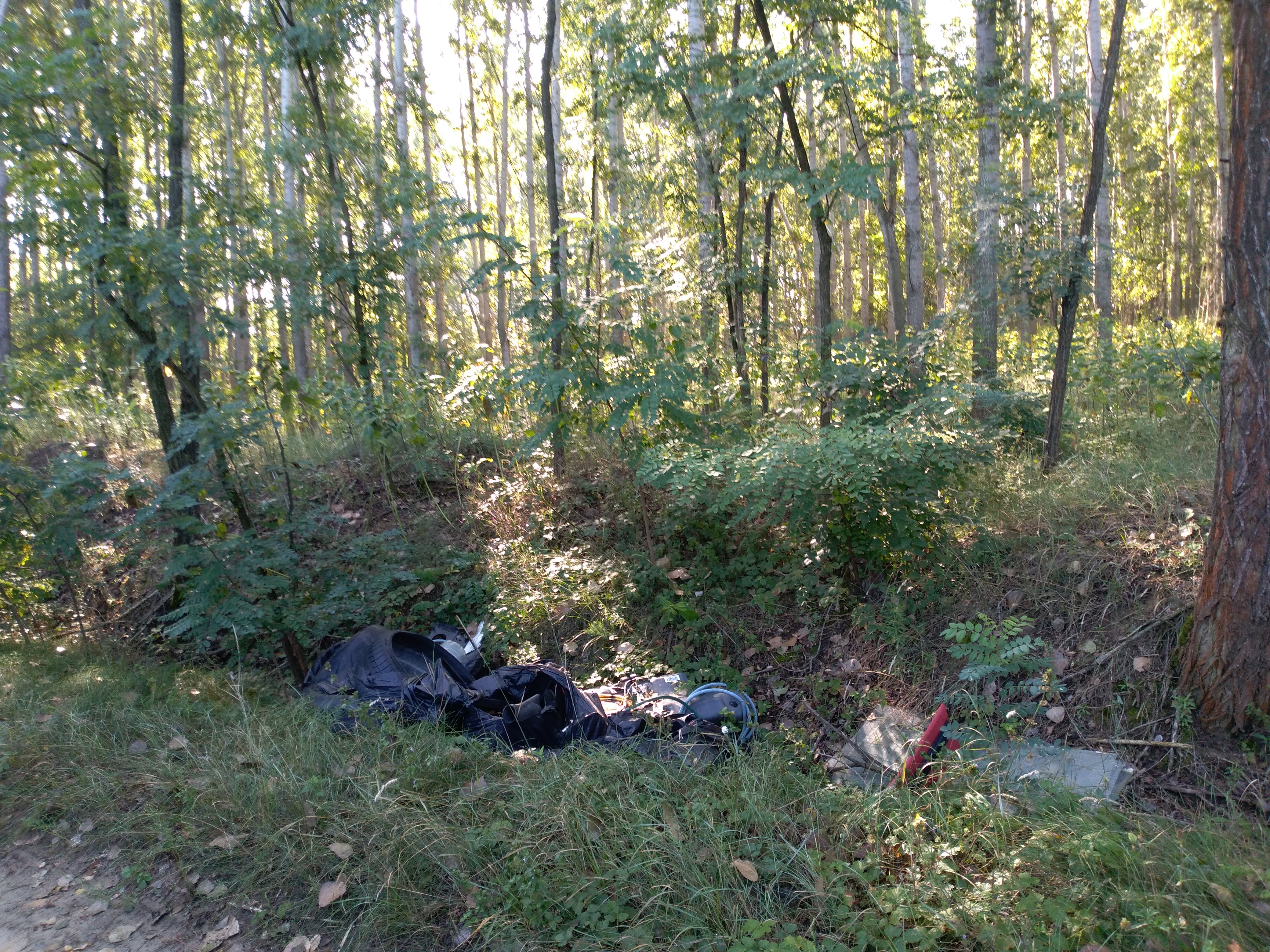 Illegális hulladéklerakó az alsónémedi Fő úti erdőben