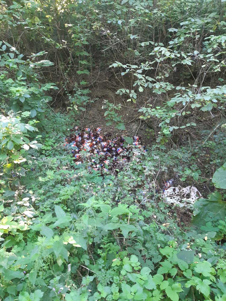 Borsodis palackok az erdőben | Pomáz